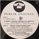 Publik Anounsa - Comin' From Crooklyn Jointz